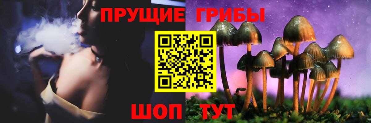 Галлюциногенные грибы Cubensis Ишим